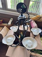 top view of chandelier showing five glass shades, metal arms, bulbs installed
