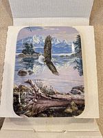 Front view of porcelain plate with eagle artwork in open box