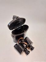 Binoculars with open carrying case showing overall set