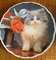 Front of plate showing kitten and floral image, scalloped rim detail
