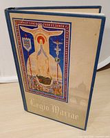 Front cover of blue hardcover with illustration and title
