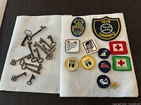 Group shot showing all skeleton keys, patches and pin on paper towels