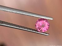 Round pink tourmaline held in tweezers close-up