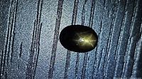Front view of oval cabochon sapphire under light highlighting golden star asterism