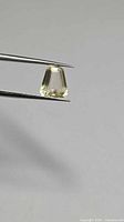 Front view of yellow scapolite held by tweezers
