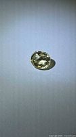 Front view of oval yellow scapolite on neutral background