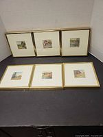 All six framed watercolours displayed together