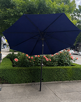 Full view of opened navy blue patio umbrella in garden setting