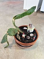 Full view of pot, cactus and fairy garden accessories
