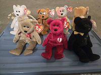 Group shot of all seven Ty Beanie Baby bears on blue tote lid