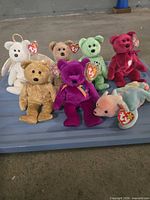 All seven Ty Beanie Baby bears grouped together