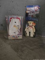 Two Ty packaged plush toys: Color Me Beanie rabbit and Maple the Bear mini