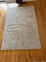 Full view beige shag rug on hardwood floor