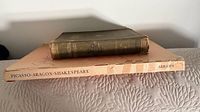 Two books stacked showing spines: Picasso·Aragon·Shakespeare (Abrams) and Character Sketches (Brewer)