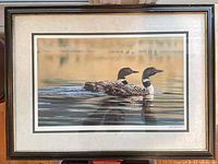 Framed loon print full view