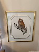 Framed print showing owl, mat and frame