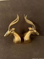 Pair of brass antelope heads side view showing horns and bust detail