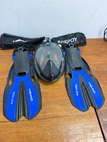 Mask, pair of fins, two mesh bags overview