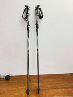 Full view of both ski poles standing upright showing entire length and baskets