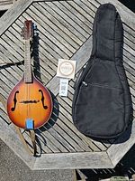 Full view of mandolin with gig bag, string pack and strap on table