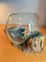 Front view showing glass bowl and driftwood base