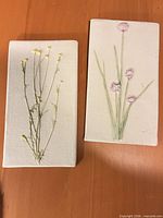Front view of both botanical clay plaques