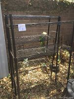 Photo of one black metal wire shelving unit showing 4 wire shelves and grid pattern construction, outdoors placement with some leaves on ground.