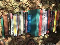 Photo of a row of assorted books laid on dried leaves outdoors, showing varied titles and colorful spines.