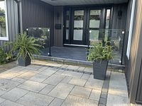 Front view of both ferns in planters at entrance