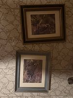 Both framed bird photographs side by side