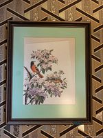 Front view of framed oriole bird print on wall