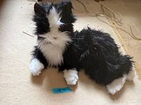 Full view of black and white plush cat lying on side showing length