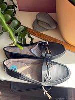 Top view of both loafers showing color, style, tag, metal bit detail