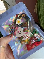 Brooch inside holographic pouch held in hand