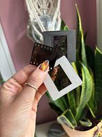Hand holding two mounted slides and one negative frame