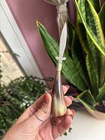 Full view of letter opener held in hand showing horn handle and blade