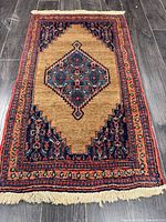 Full view of rug showing entire design and fringe