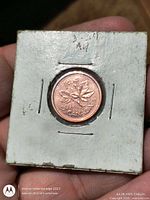 Reverse of the 2003 Canadian cent showing maple leaf design in cardboard flip