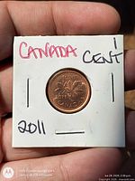 Reverse maple leaf side showing 2011 date in labeled cardboard flip
