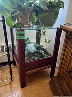 Full view of wood-framed glass terrarium table with artificial plant