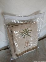 Towel set inside clear zippered bag showing front folded towel with palm tree embroidery and striped trim