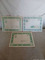 Three Babyland General Hospital mailing envelopes with green borders