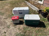 Three coolers grouped outdoors showing relative sizes and colors