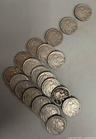 All twenty Buffalo nickels arrayed