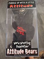Front view of WWF Attitude Bear inside branded clear case