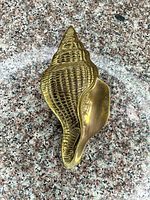 Front view of brass seashell door knocker
