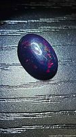 Front view of oval black opal showing multicolor play-of-color