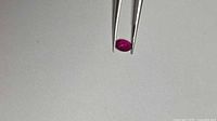 Ruby held in tweezers showing size and colour
