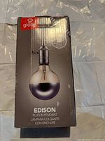 Front of box showing Globe Edison plug-in pendant light