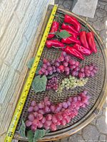 Full lot showing peppers and grape bunches with measuring tape